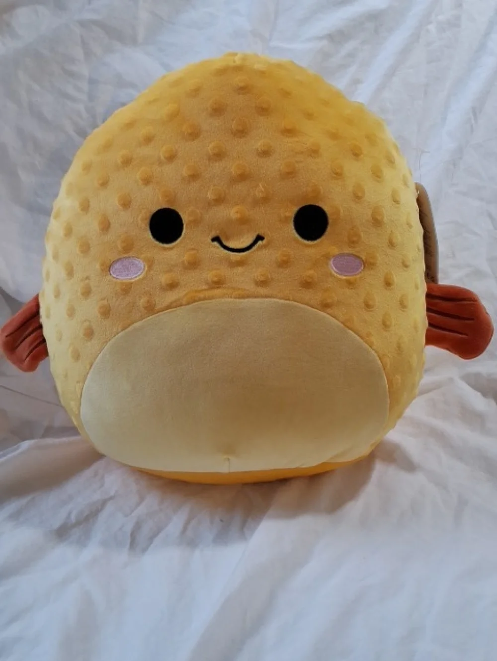 Squishmallows 12" Safa The Puffer Fish, NWT - Picture 1 of 6